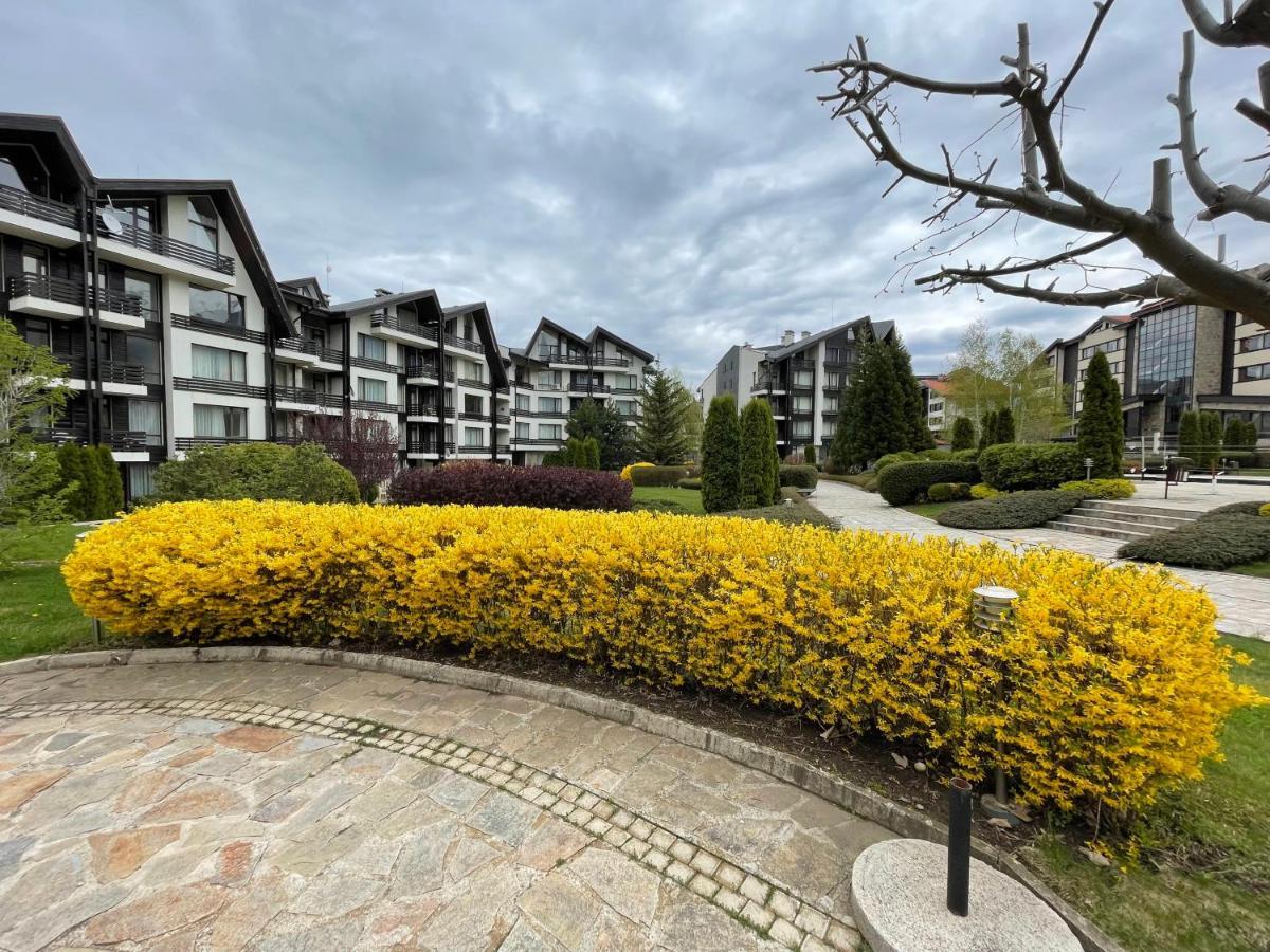 Pirin Dream View Apartments Razlog Exteriér fotografie